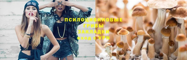 стафф Алексин