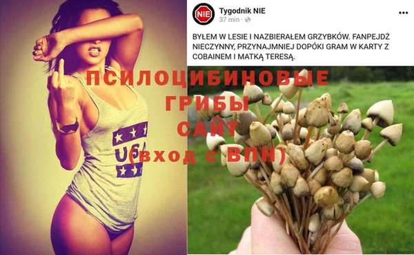 стафф Алексин