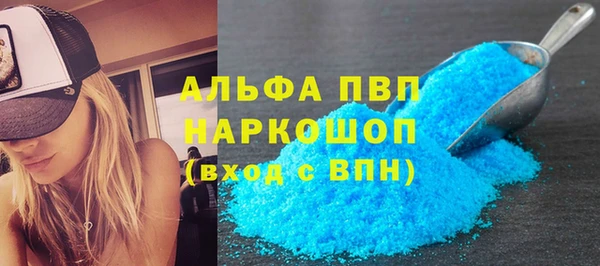 стафф Алексин
