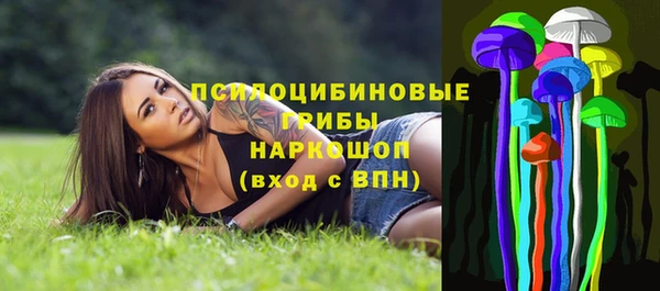 прущий лед Алексеевка