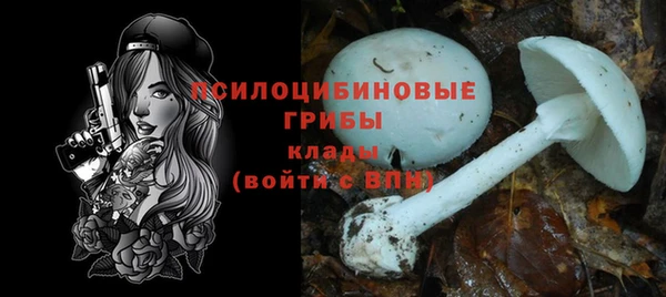стафф Алексин